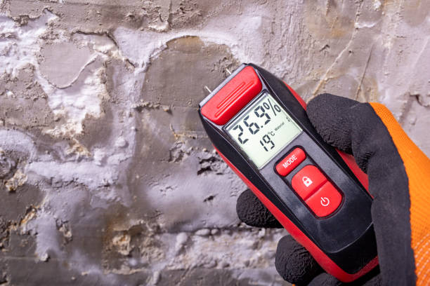 Best Post-Flood Mold Remediation in North Browning, MT