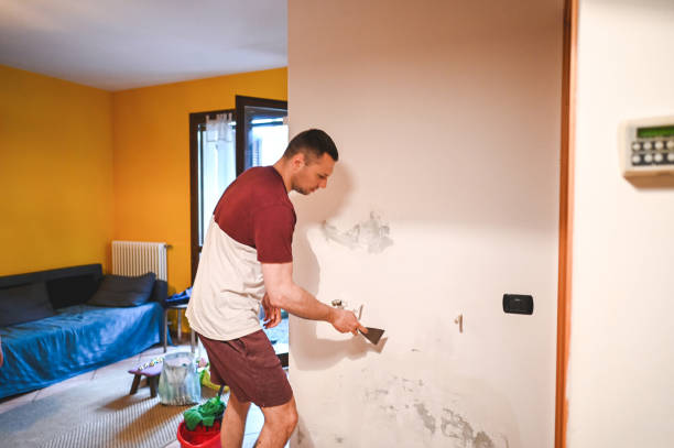 Best Kitchen Mold Remediation in North Browning, MT