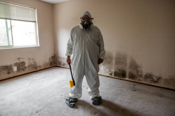 Best Residential Mold Remediation in North Browning, MT